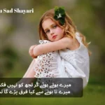 2-line-urdu-sad-shayari