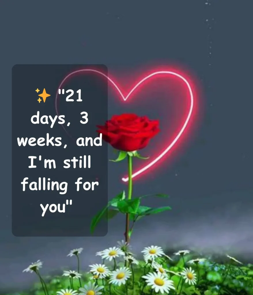 short-and-sweet-third-week-captions