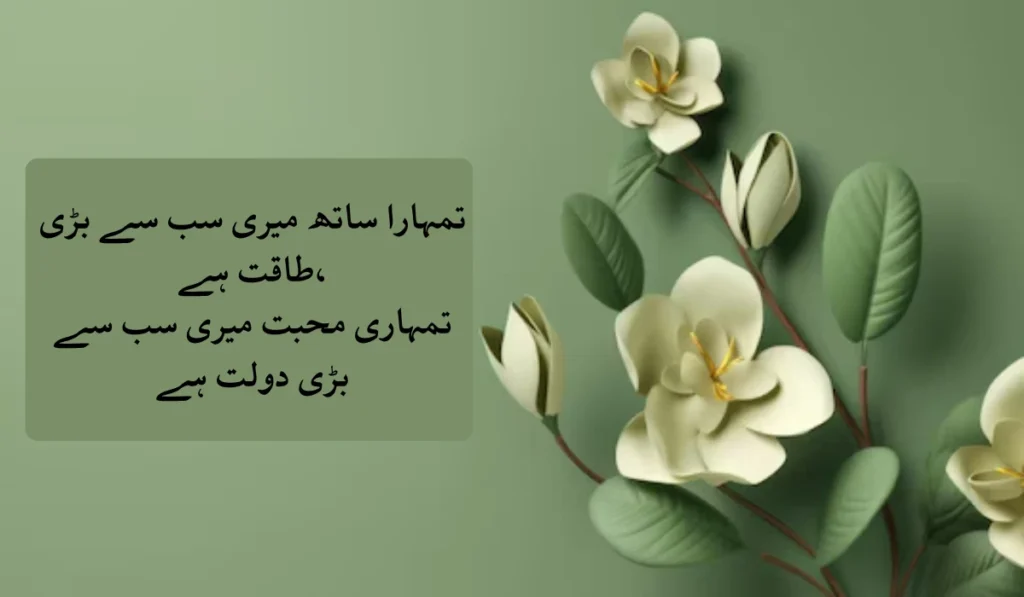 romantic-quotes-for-husband-in-urdu