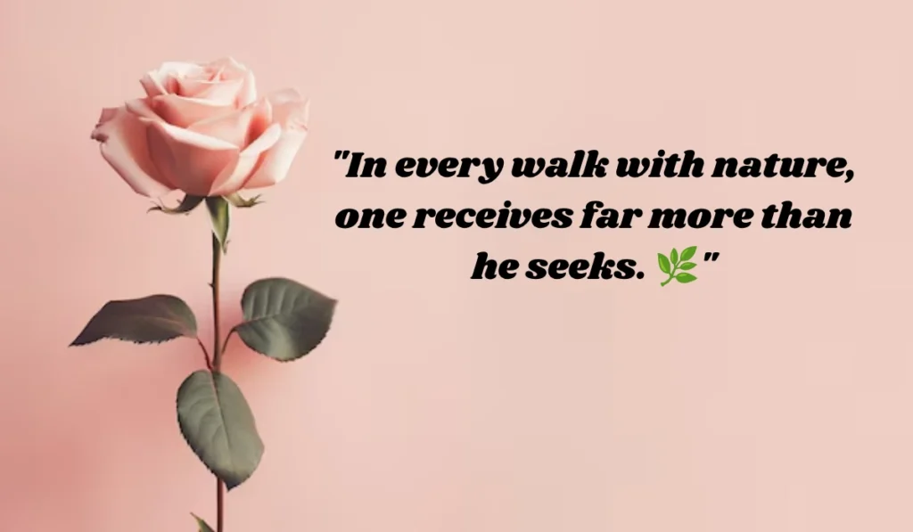 john-muir-quotes-about-nature