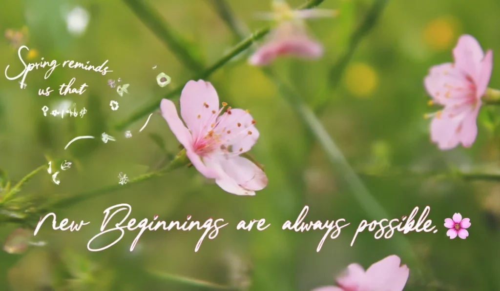 mary-oliver-quotes-about-spring