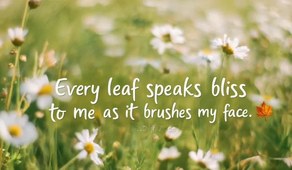 mary-oliver-quotes-nature