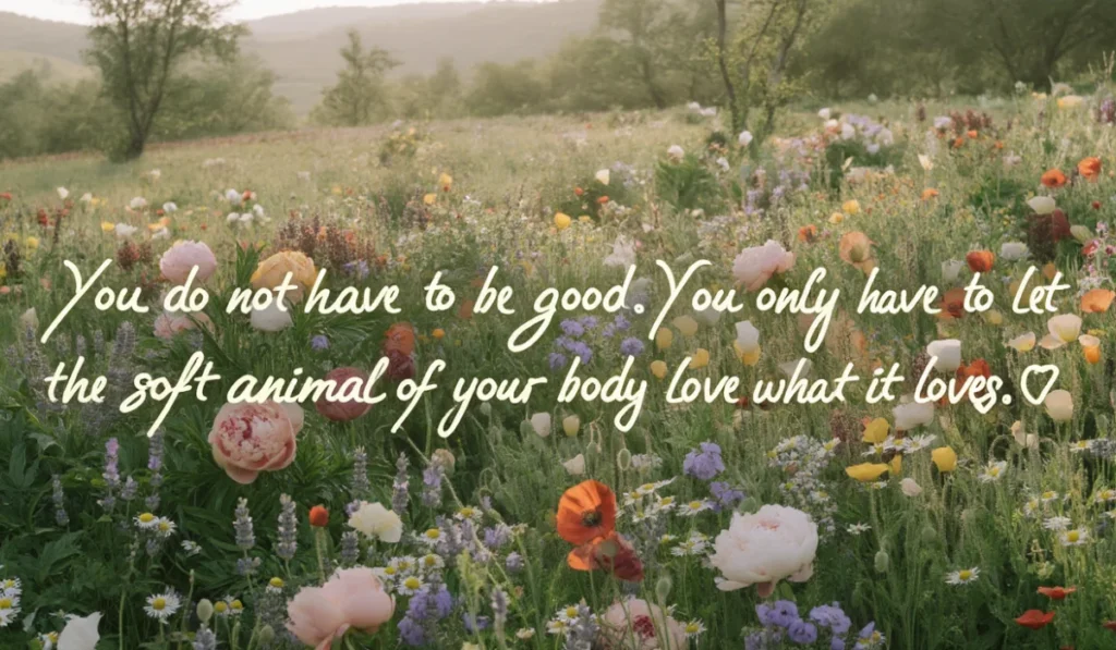 mary-oliver-quotes-on-life